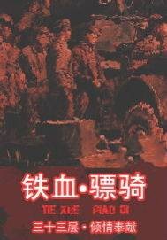 铁血骠骑(三十三层创作的历史穿越小说作品)