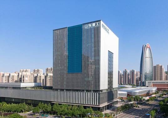 山东重工集团有限公司