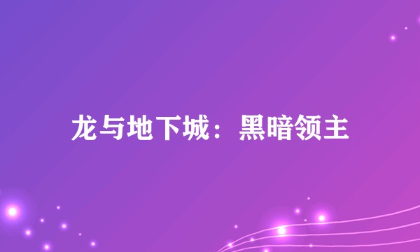 龙与地下城：黑暗领主