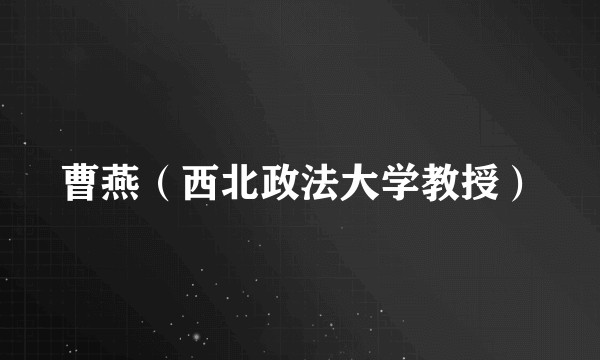 曹燕（西北政法大学教授）
