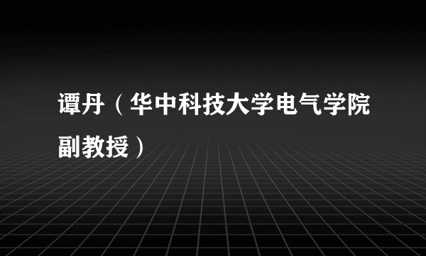 谭丹（华中科技大学电气学院副教授）