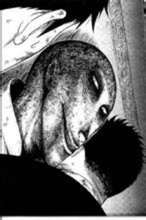 青眼狐尸