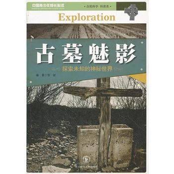 古墓魅影（2010年中国广播电视出版社出版的图书）