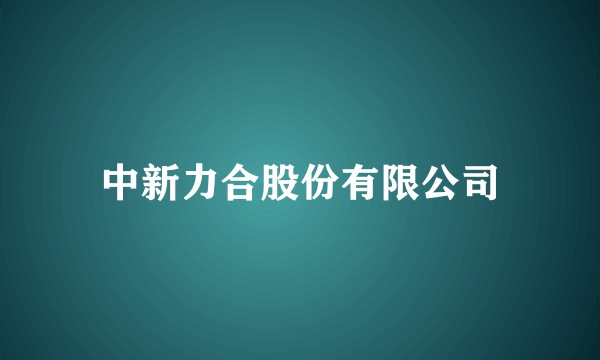 中新力合股份有限公司