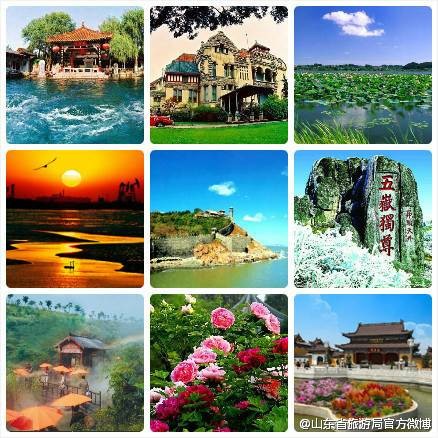 山东旅游网