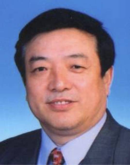 蔡庆华(第十届全国政协委员、经济委员会委员,原铁道部副部长)