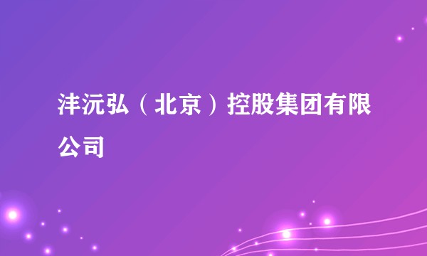 沣沅弘（北京）控股集团有限公司