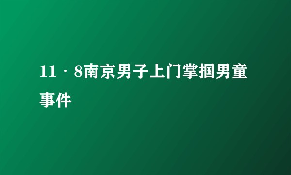 11·8南京男子上门掌掴男童事件