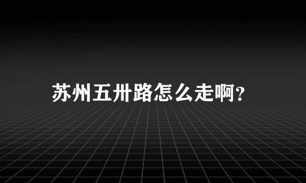 苏州五卅路怎么走啊？