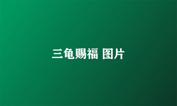 三龟赐福 图片