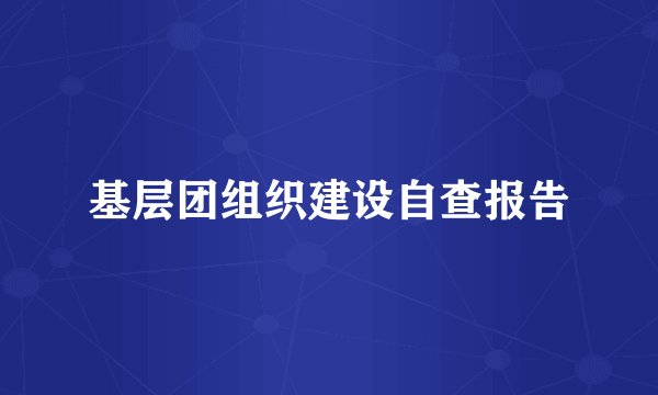 基层团组织建设自查报告