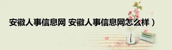 安徽人事信息网 安徽人事信息网怎么样）