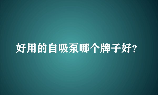 好用的自吸泵哪个牌子好？
