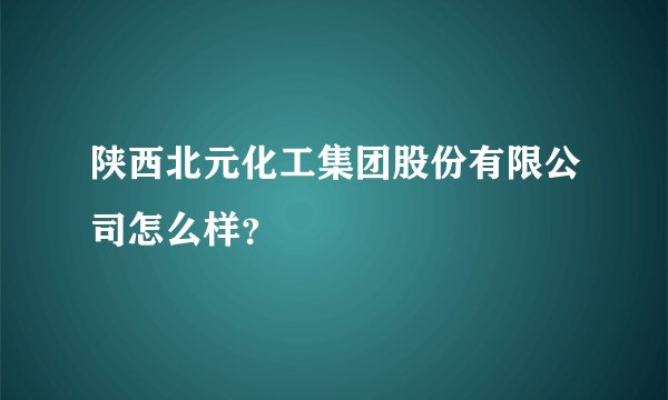 陕西北元化工集团股份有限公司怎么样？