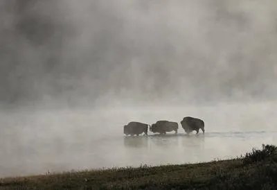 雾霾中毒会头晕恶心吗 认识雾霾中毒的表现