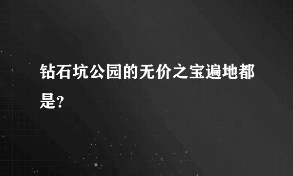 钻石坑公园的无价之宝遍地都是？