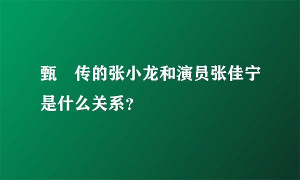 甄嬛传的张小龙和演员张佳宁是什么关系？