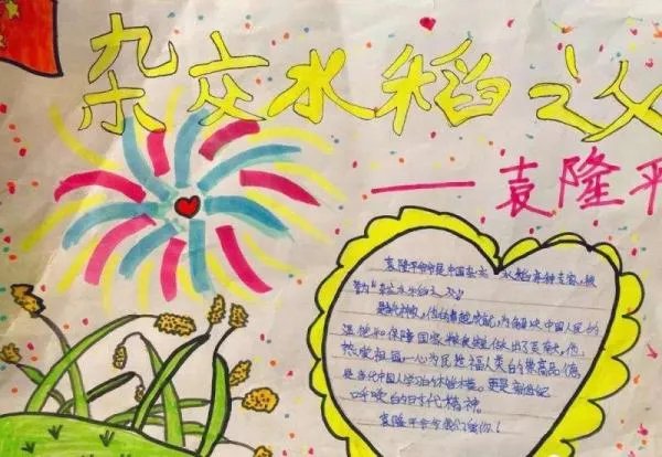 袁隆平手抄报图片大全简单漂亮