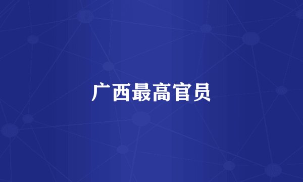 广西最高官员