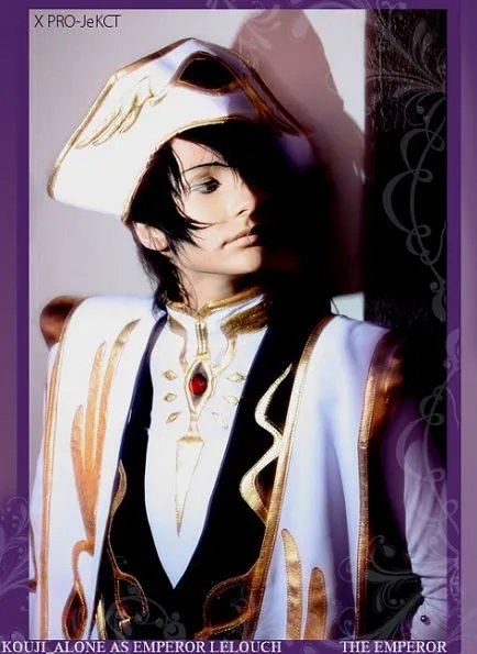 鲁鲁修的图片