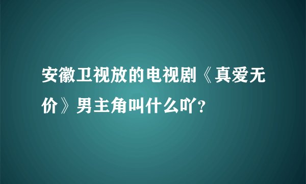 安徽卫视放的电视剧《真爱无价》男主角叫什么吖？
