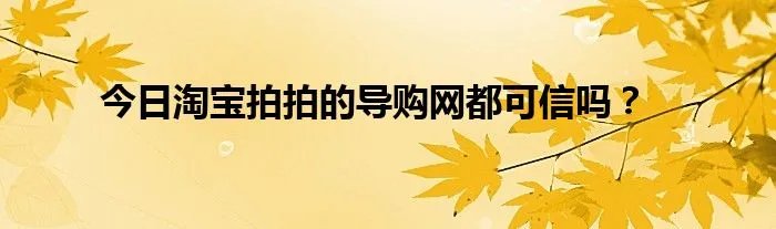 今日淘宝拍拍的导购网都可信吗？