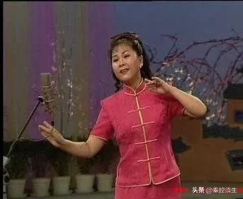 秦腔名旦张宁简介?
