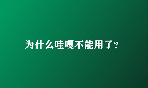 为什么哇嘎不能用了？