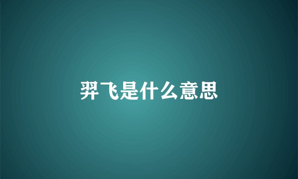 羿飞是什么意思