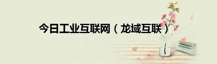 今日工业互联网（龙域互联）