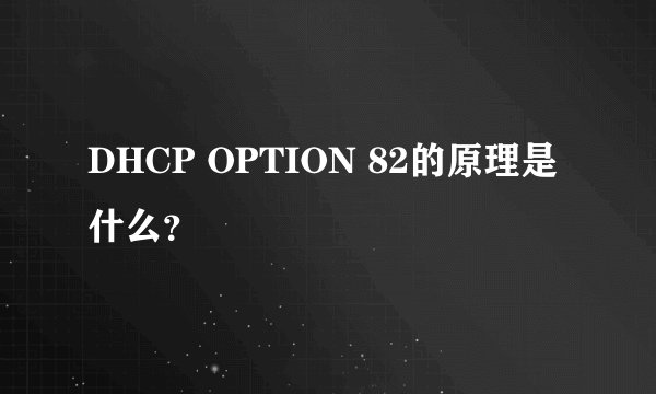 DHCP OPTION 82的原理是什么？