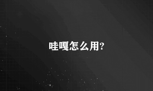 哇嘎怎么用?
