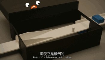 这档重播无数次的日本科教节目,满足孩子探索世界的好奇心(附观看链接)