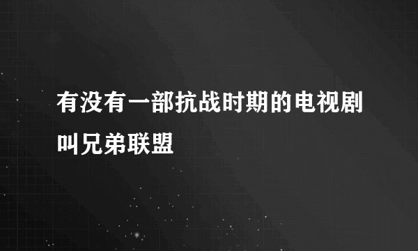 有没有一部抗战时期的电视剧叫兄弟联盟