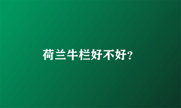 荷兰牛栏好不好？