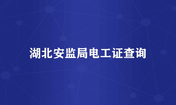 湖北安监局电工证查询