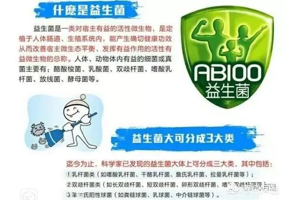 你们买益生菌的话都是买什么品牌的?