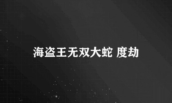 海盗王无双大蛇 度劫