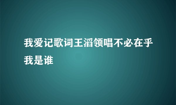 我爱记歌词王滔领唱不必在乎我是谁