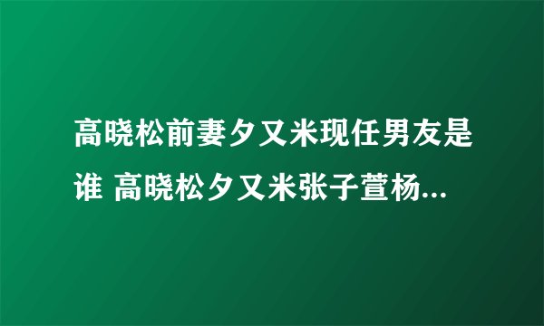 高晓松前妻夕又米现任男友是谁 高晓松夕又米张子萱杨一柳什么关系