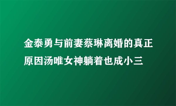金泰勇与前妻蔡琳离婚的真正原因汤唯女神躺着也成小三