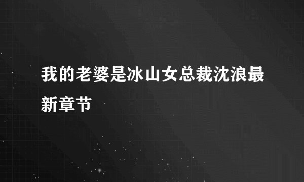 我的老婆是冰山女总裁沈浪最新章节