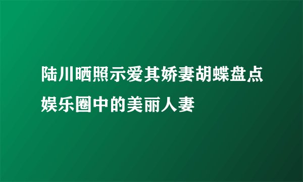 陆川晒照示爱其娇妻胡蝶盘点娱乐圈中的美丽人妻
