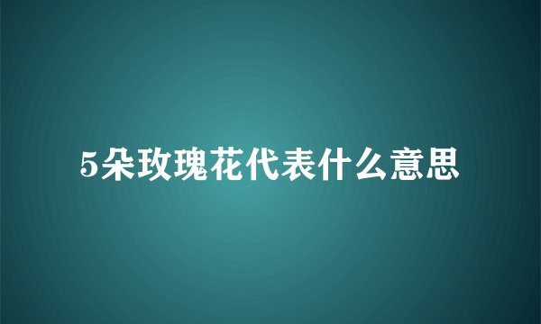 5朵玫瑰花代表什么意思