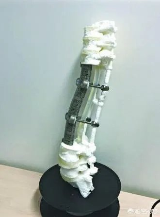 怎么看第一个3D打印柔性心脏的产生?