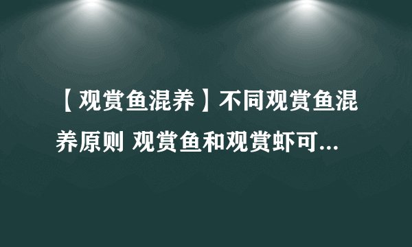 【观赏鱼混养】不同观赏鱼混养原则 观赏鱼和观赏虾可以混养吗