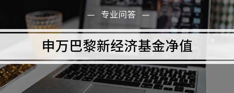 申万巴黎新经济基金净值