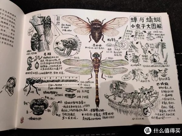 不求甚解集 篇二十:我们的八十年代:《漫步八十年代:老北京拾遗》