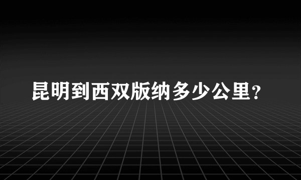 昆明到西双版纳多少公里？