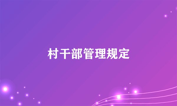 村干部管理规定
